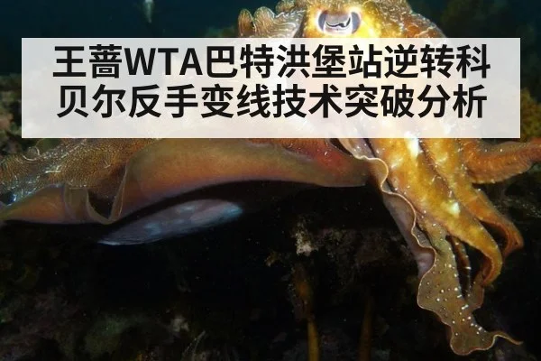 王蔷WTA巴特洪堡站逆转科贝尔反手变线技术突破分析